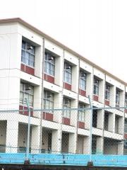 野口小学校