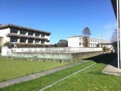 世紀小学校