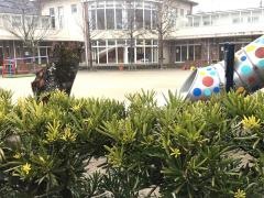 三芳幼稚園