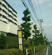 「彩のクリニック前」バス停留所