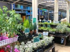 ホームセンターコーナン　つくば学園の森店