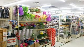 キャンドゥ　サンビーチ追浜店