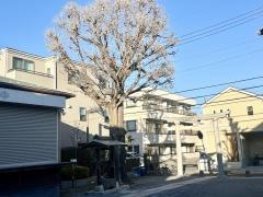 本木御嶽神社
