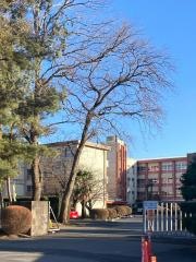 結城市立結城中学校