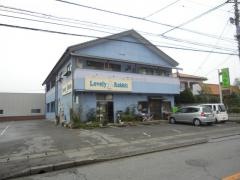 ラブリーラビット宇都宮店