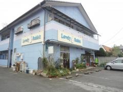 ラブリーラビット宇都宮店
