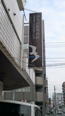 施設写真10