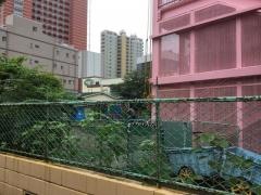 与野愛仕幼稚園