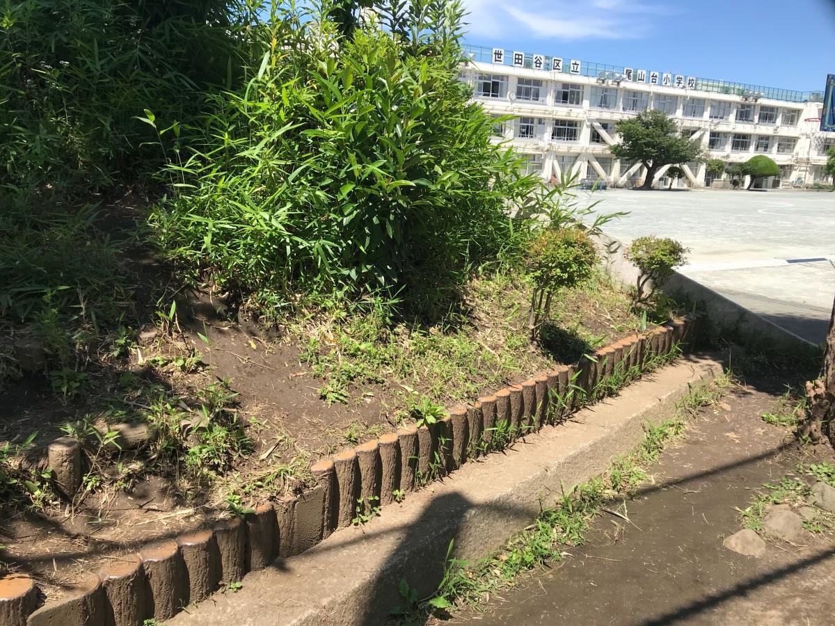 尾山台小学校
