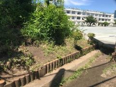 尾山台小学校