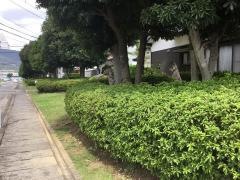 卸本町緑地