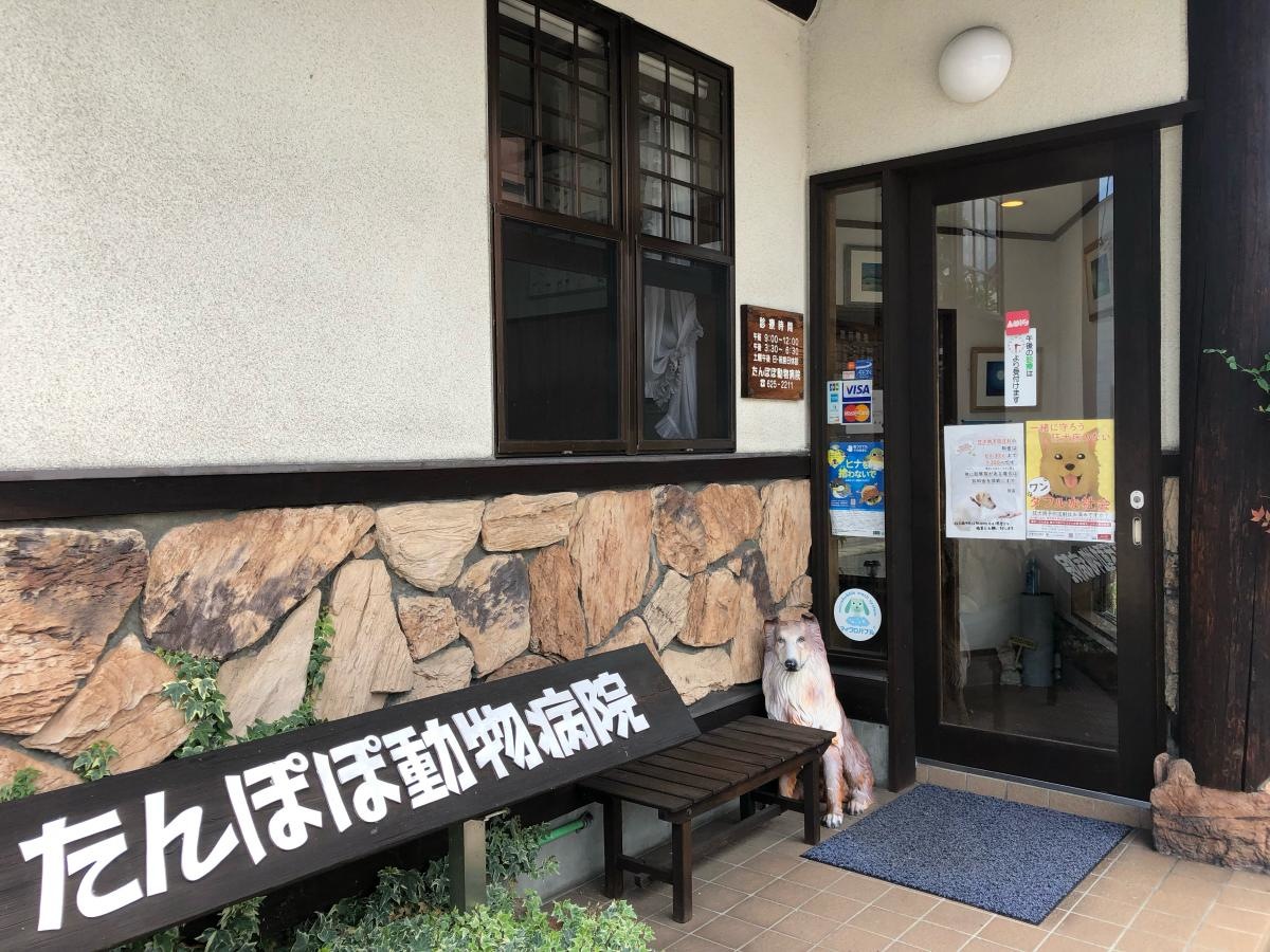 たんぽぽ動物病院
