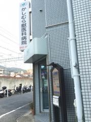 樫村獣医科病院