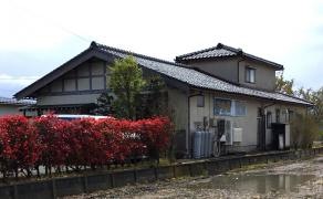たばた