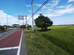 「小見野学校」バス停留所