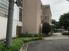 まんさくの里