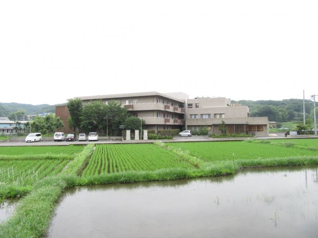 第二森の里