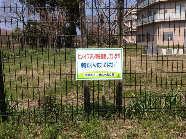 湖北水鳥の里