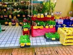 現金問屋あけぼの　天文館店
