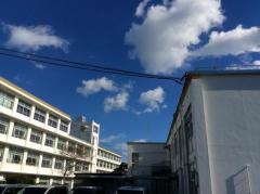 青島小学校