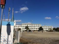 青島小学校