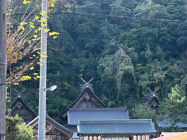 投稿写真1