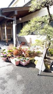 喜巳寿し