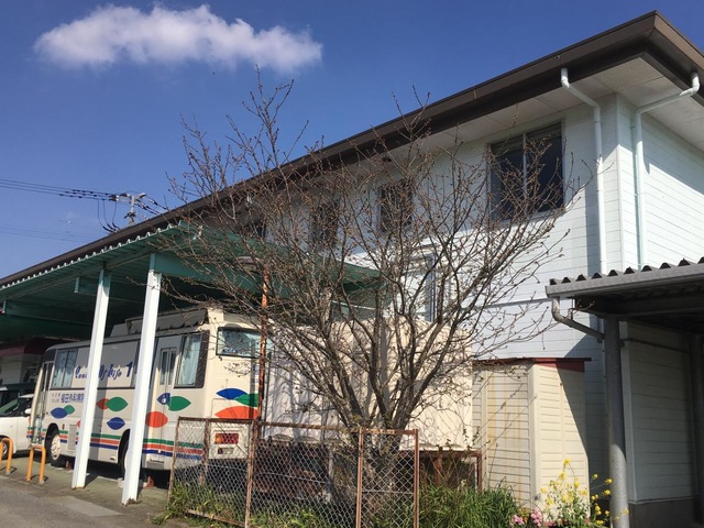 私とゆかいな仲間