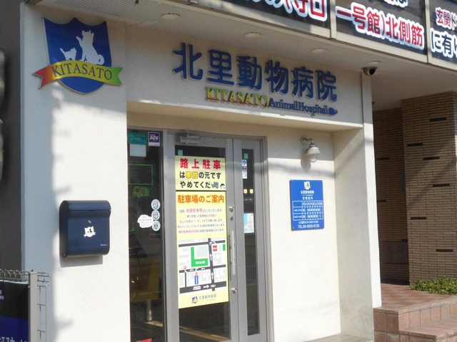 投稿写真1