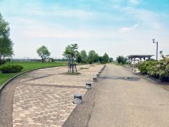 柳瀬川つつみ公園