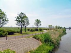 柳瀬川つつみ公園