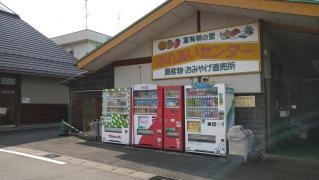 道の駅　富有柿の里いとぬき