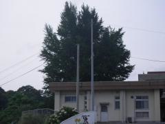 出合小学校