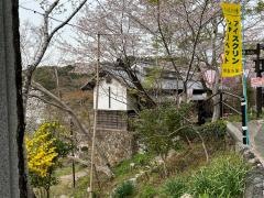 牧野公園