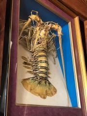 磯料理赤沢丸昌