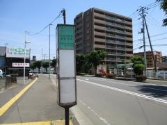 「仙台東年金事務所前」バス停留所