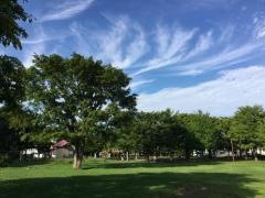 エルムの森公園