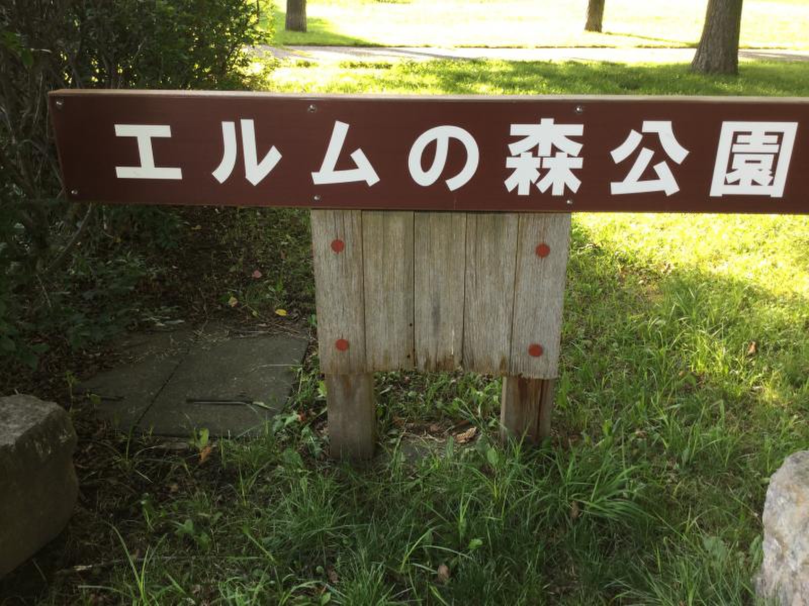 エルム 公園