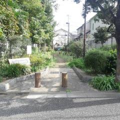 向山ヶ谷戸緑地