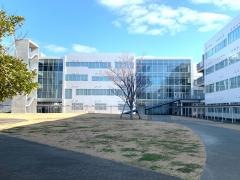 神戸国際大学