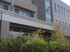 山内整形外科