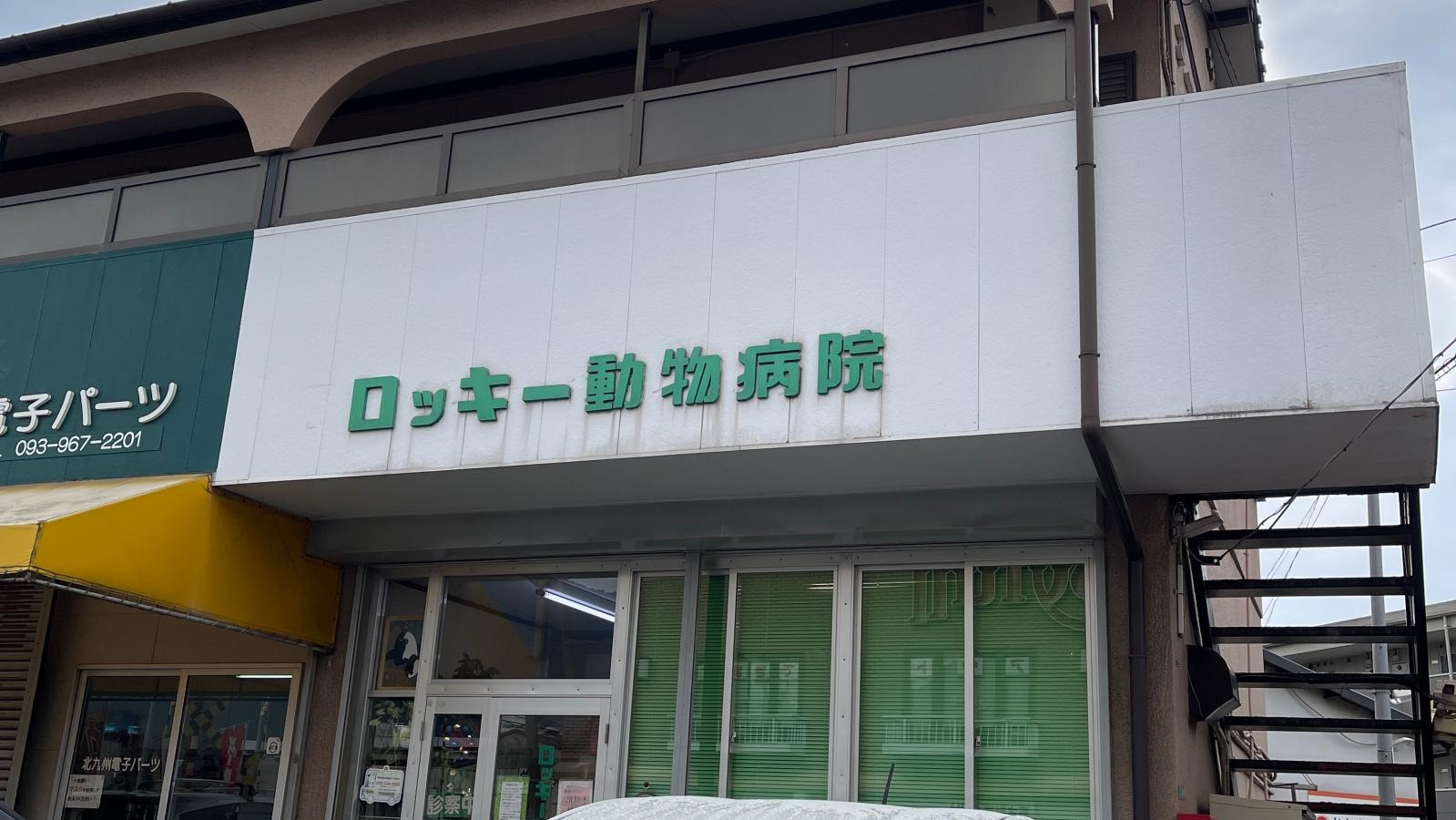ロッキー動物病院