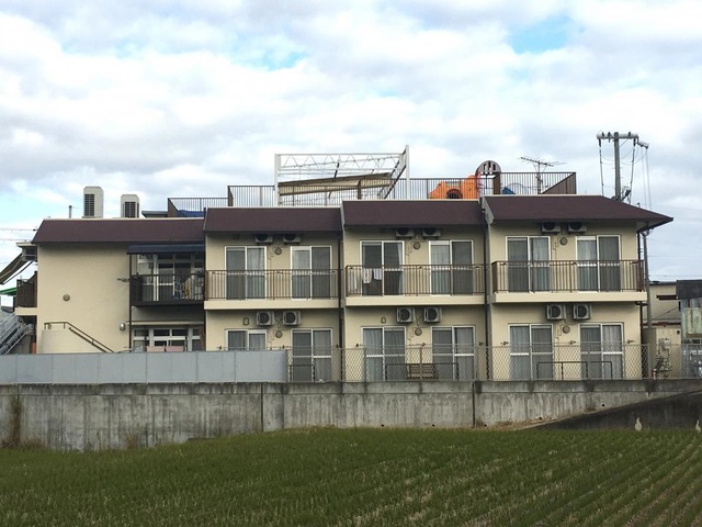 樹の実