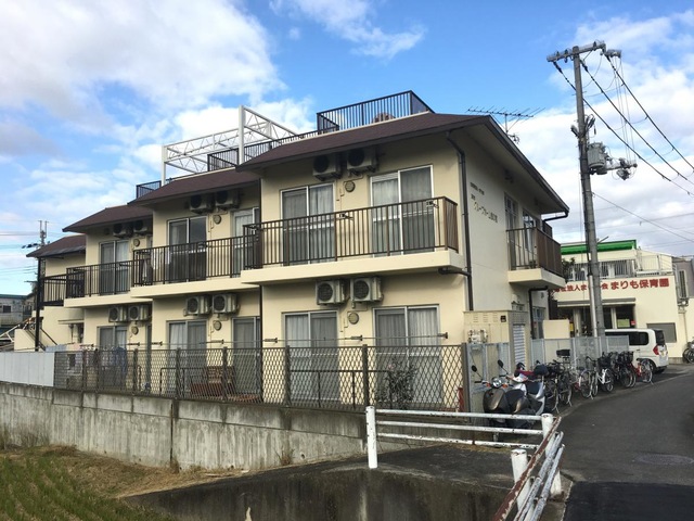 樹の実