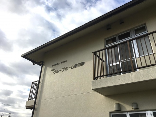 樹の実