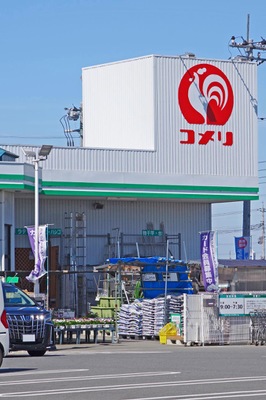 マーケットピア 最近投稿された写真 9ページ