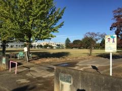西新町中央公園