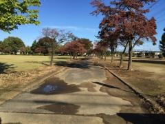 西新町中央公園