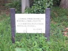 西宿自然緑地