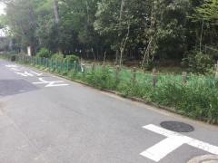 西宿自然緑地
